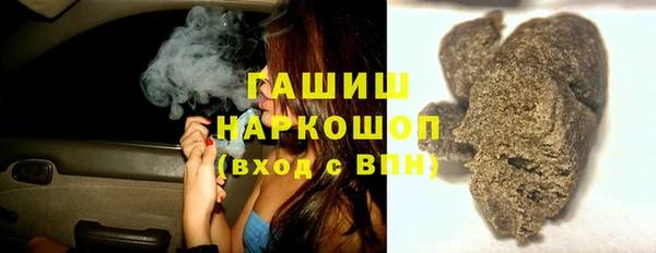 сатива Бородино
