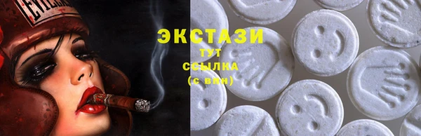 сатива Бородино