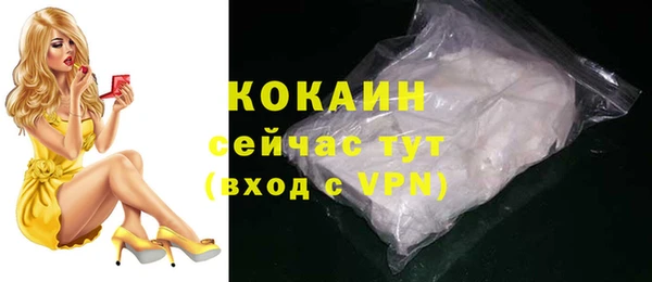 хмурый Богородск