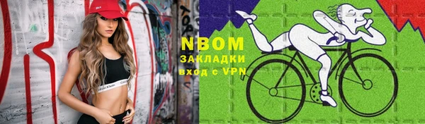 сатива Бородино