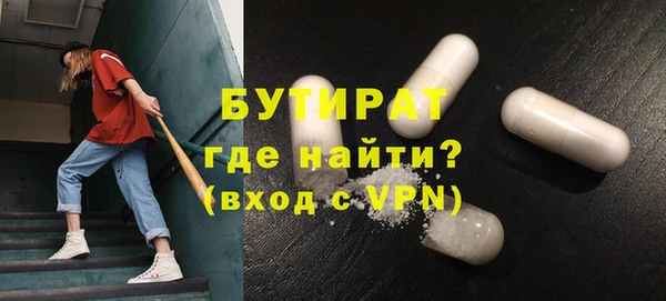 сатива Бородино