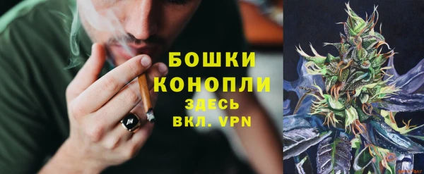 прущая мука Богородицк