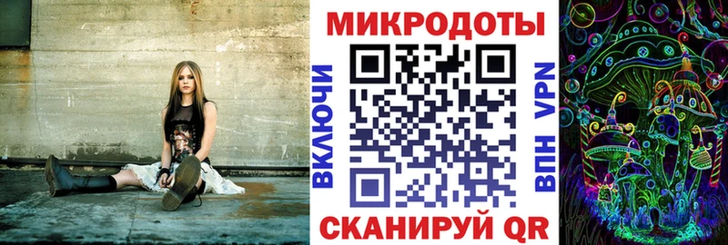 где продают наркотики  даркнет какой сайт  Галлюциногенные грибы GOLDEN TEACHER  Великий Новгород 